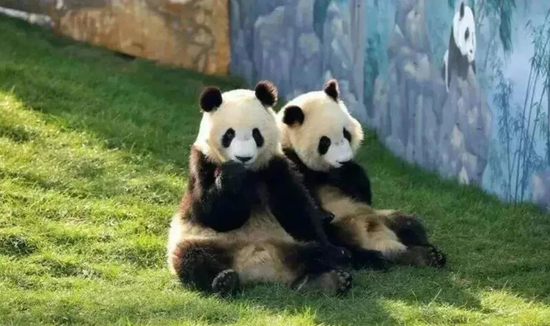 微信图片_20210113153328.jpg 微信图片_20210113153328.jpg