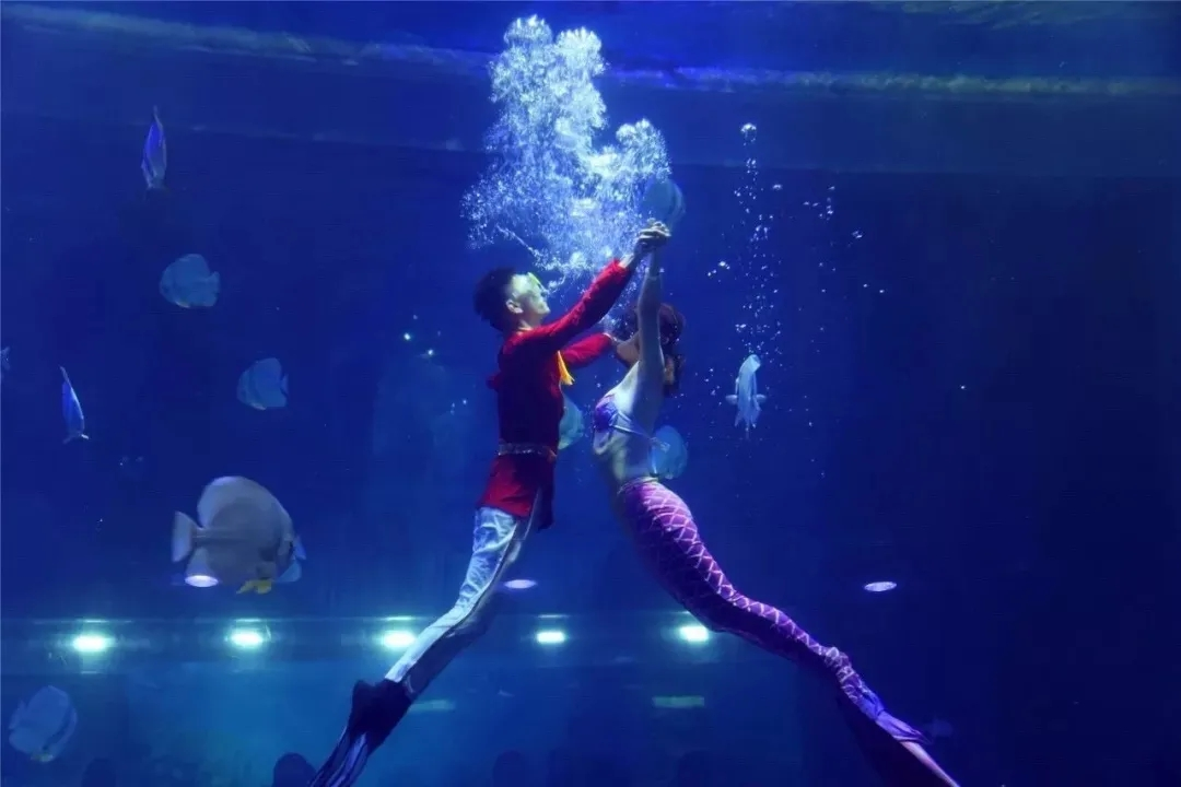 微信图片_20210113153336.png 微信图片_20210113153336.png