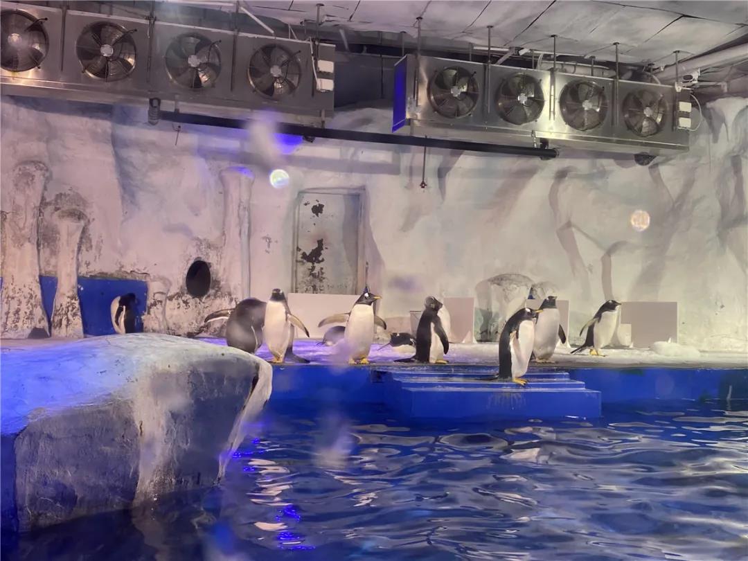 微信图片_20210113172733.jpg 微信图片_20210113172733.jpg