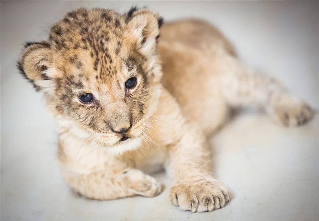 微信图片_20210113153330.jpg 微信图片_20210113153330.jpg