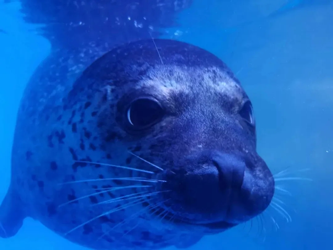 微信图片_20210113172736.png 微信图片_20210113172736.png